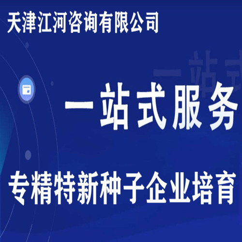 专精特新“种子”企业培育咨询(咨询服务)